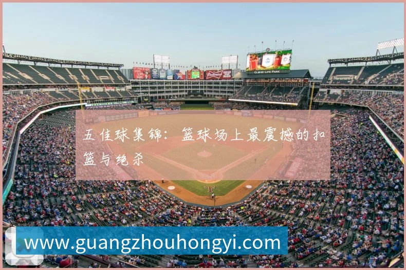 九游体育平台生态图