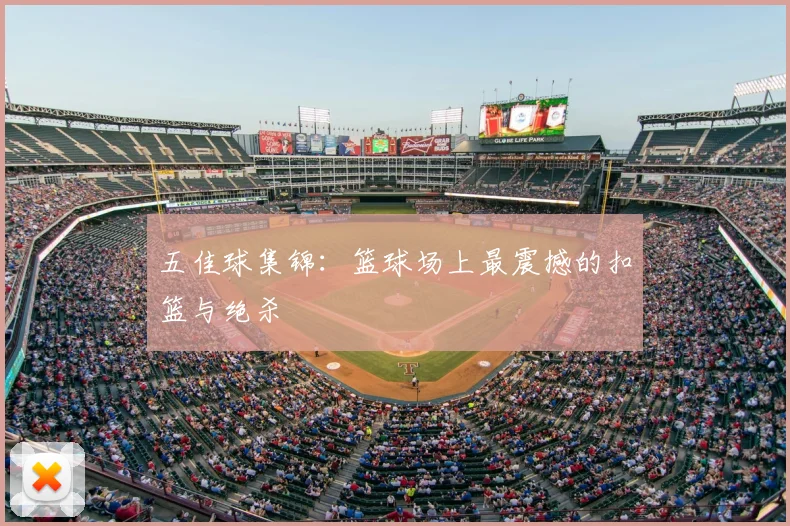 中国排球明星球员专访：赛场背后的故事